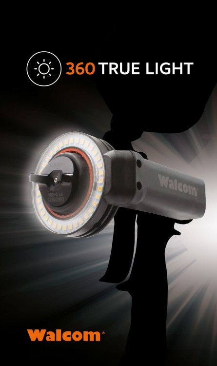 360-true-light-copertina_2.jpg